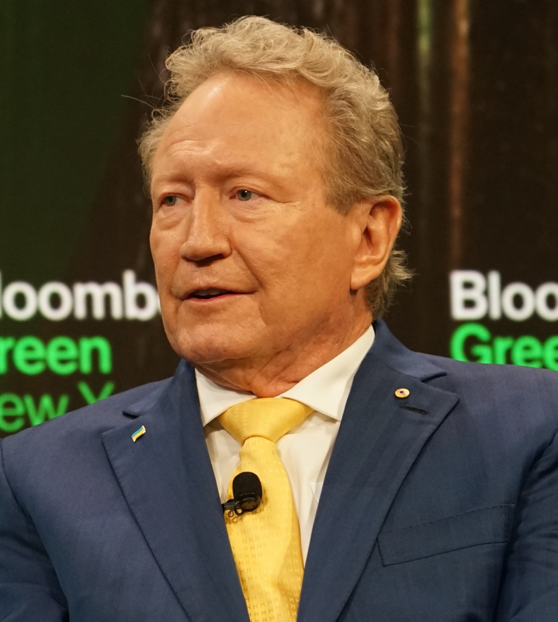 Andrew 'Twiggy' Forrest AO